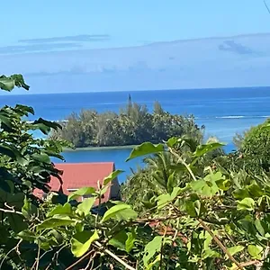 Chris Merry French Polynesia